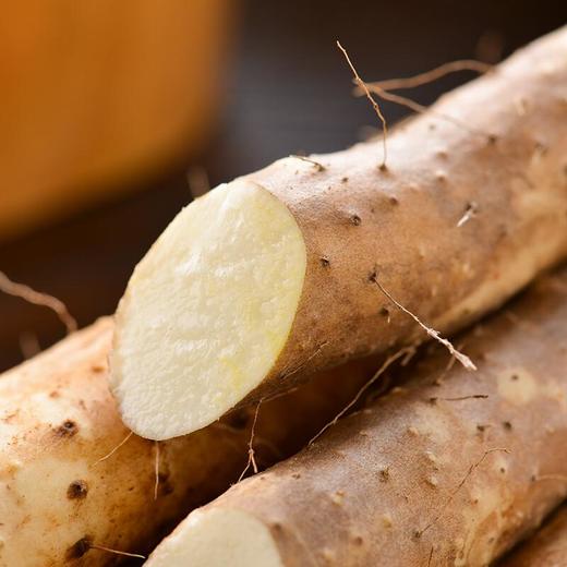 温县铁棍山药 约500g/份 商品图1