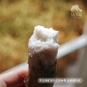 生态山药（峨眉山 ）| 合作生产*Ecological yam | Coproduction