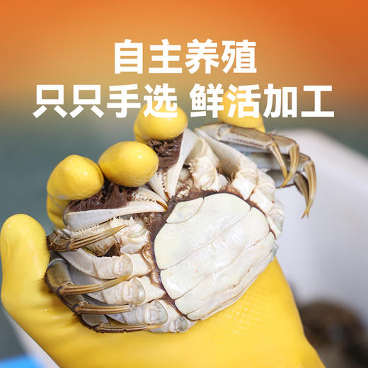 【3两醉蟹礼盒装：650g/盒*2盒】新孟河全母醉蟹650g/盒   3只/盒   2.8-3.1两/只   精品冷食   顺丰速运 商品图3