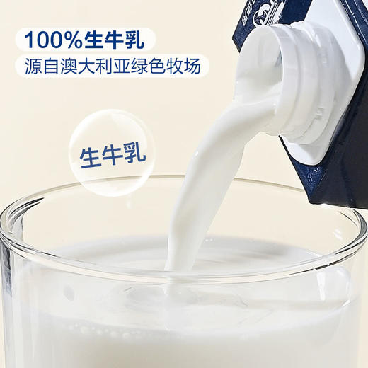 MM 山姆 奥杜克 全脂牛奶 1L*6 商品图2
