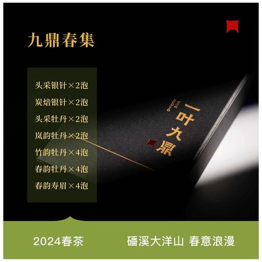 福鼎白茶 | 一叶九鼎 2024年白茶组合·九鼎春集100g 商品图2
