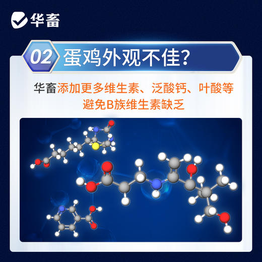 【整吨更优惠】华畜5%产蛋期预混料蛋鸡饲料 营养成分高于美国和中国双重标准 增加产蛋数量 增加产蛋周期 商品图2