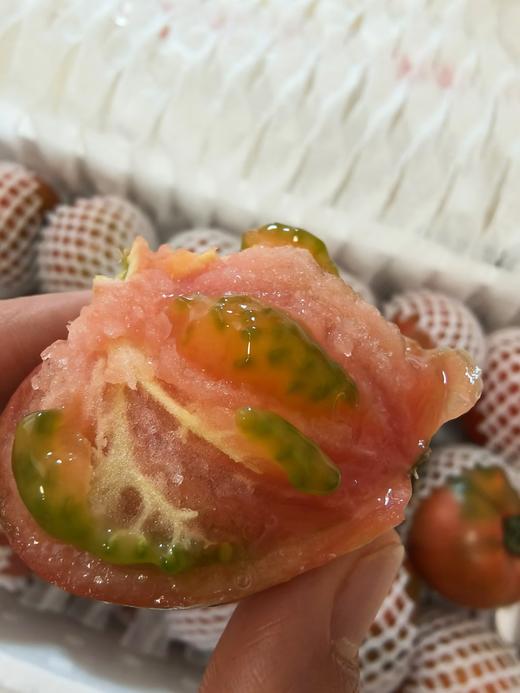 【又是一年成熟季，就是好吃】梁家院正宗盘锦碱地草莓柿子铁柿子净5斤，多年爆款产品，还是从前那个味儿~柿味浓郁，口感软沙，盘锦地理标志保护产品，顺丰/京东全国包邮（偏远地区除外） 商品图1