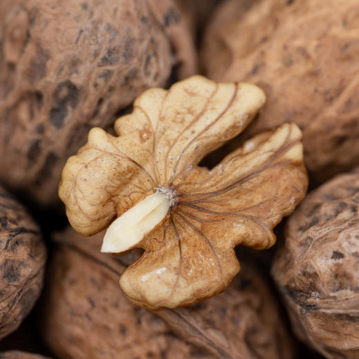 老树核桃（生的） 商品图2