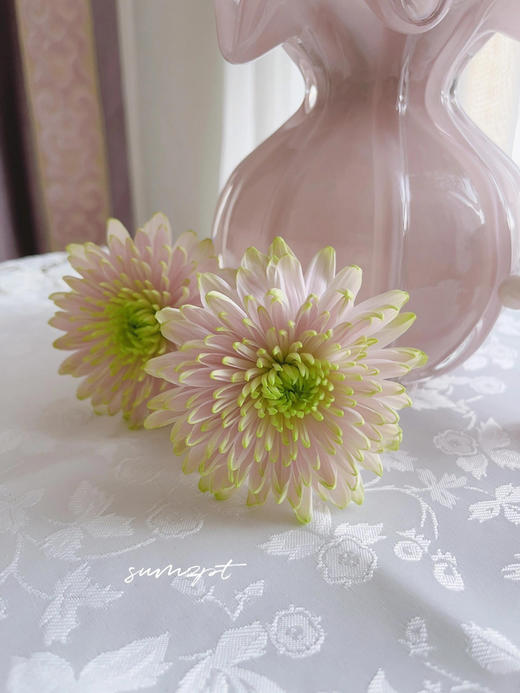 【粉色多头烟花菊.第二件减10元】5支/份 长约60-65cm 商品图3