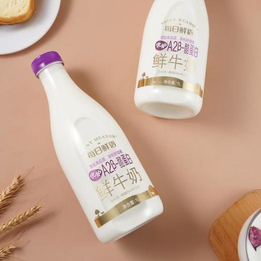 MM 山姆 每日鲜语（Shiny Meadow）优护A2β-酪蛋白鲜牛奶（全脂巴氏杀菌乳)1L*2 商品图3