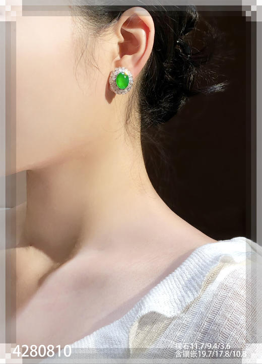 老坑玻璃种艳绿蛋面耳钉【4280810】具体价格微信咨询 商品图4