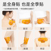 百年扁氏艾草精油暖贴 商品缩略图2