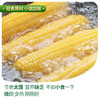 凌老师玉米  200g*8 商品缩略图1