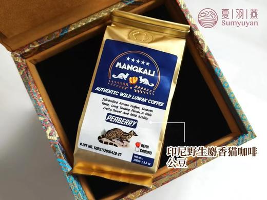 印尼野生麝香猫咖啡公豆100g 商品图0