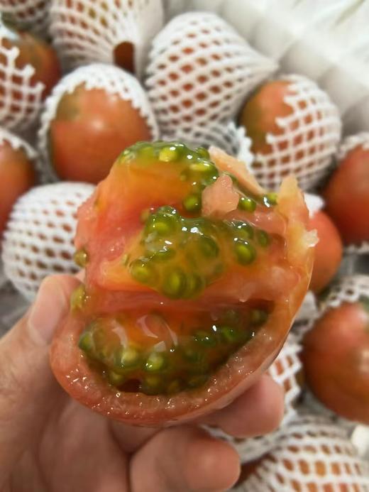 【又是一年成熟季，就是好吃】梁家院正宗盘锦碱地草莓柿子铁柿子净5斤，多年爆款产品，还是从前那个味儿~柿味浓郁，口感软沙，盘锦地理标志保护产品，顺丰/京东全国包邮（偏远地区除外） 商品图10