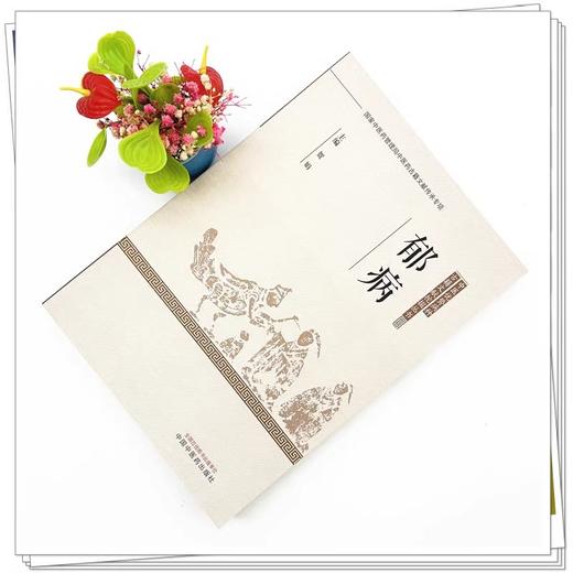 郁病 中医优势病种古籍文献挖掘丛书 疏肝解郁法 活血化瘀法 滋补脾肺法 贺娟 主编 9787513287692中国中医药出版社 商品图2