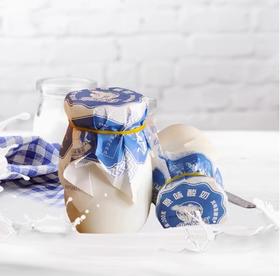 北冰洋制冰厂冰冰熊原味酸奶（罐）180g