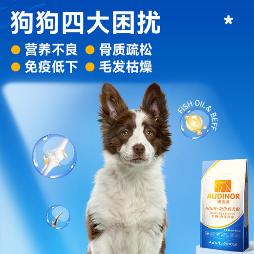 【Ramical雷米高】澳丽得狗粮通用型20kg金毛萨摩耶拉布拉多成犬主粮 商品图4