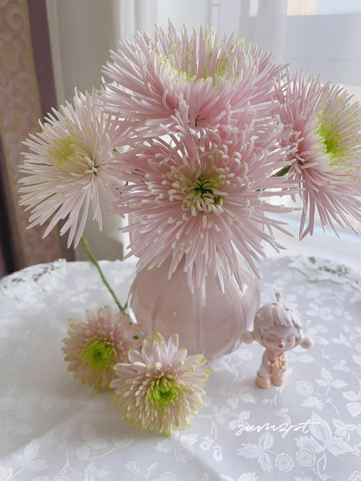 【粉色多头烟花菊.第二件减10元】5支/份 长约60-65cm 商品图5