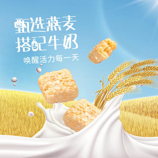 【鼎】卜珂 巧克力燕麦酥85g×5袋 商品图3