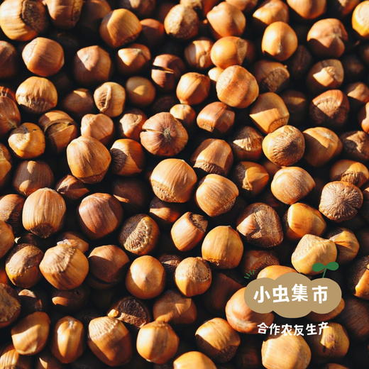 森林野生榛子仁 200g| 合作农友生产，源自大兴安岭原始森林，生产者：金鹏 ＆【公平贸易农人定价】 商品图10