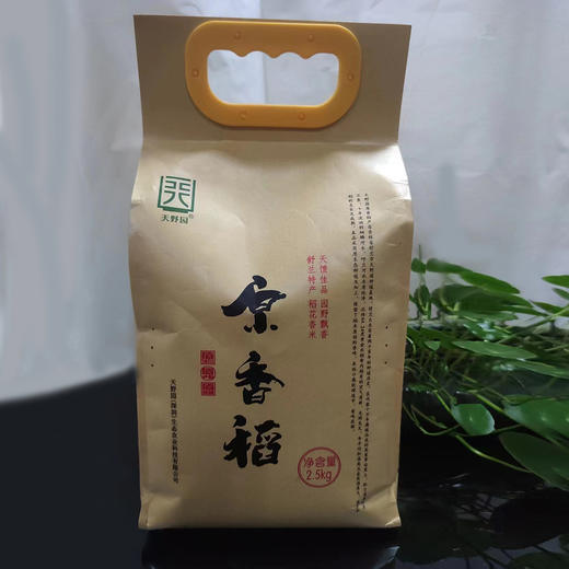 天野园·原香稻 2.5kg*4袋 新米   舒兰平安镇 稻花香2号  东北大米  现磨现卖 商品图3