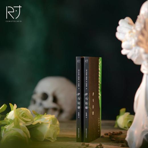 萨乌达德 2019年澳大利亚总理文学奖/2020年阿德莱德文学节奖入围作品 商品图2