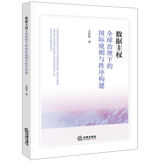 数据主权：全球治理下的国际规则与秩序构建 王佳宜著 法律出版社 商品图0