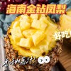 严选 | 海南金钻凤梨 4.5-5斤/箱 香甜多汁 黄金甜酸比 不塞牙不涩口 商品缩略图0