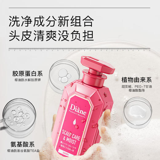 黛丝恩致美洗发水头皮养护450ml/118019 全新升级款舒缓头皮 商品图2