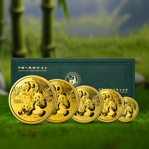 2025年熊猫普制金币 带盒 商品图0