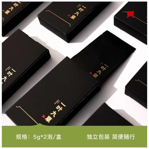 福鼎白茶 | 一叶九鼎 2024年白茶组合·九鼎春集100g 商品图3