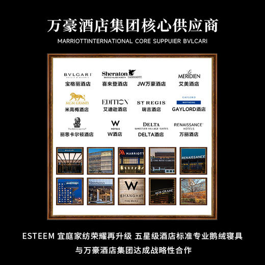 ESTEEM/宜庭童话堡全棉印花床单被套枕套三/四套件【专柜同款】 商品图4
