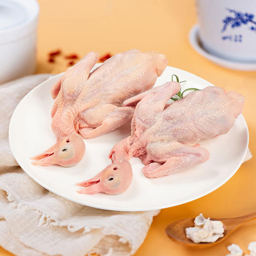 MM 山姆 冷鲜乳鸽 550g 商品图1