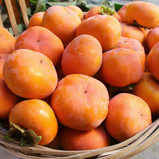 甜果源源 阳丰脆柿子 商品图2