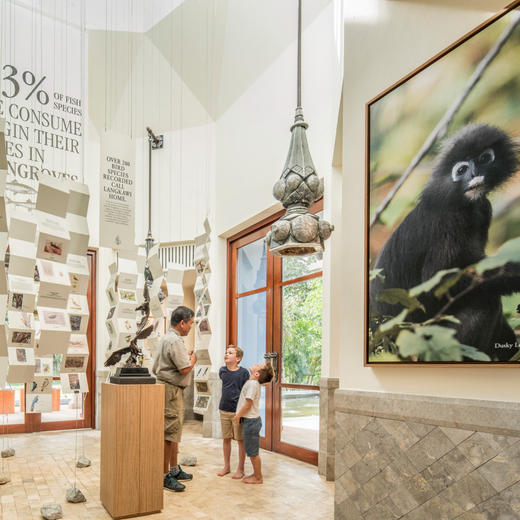 4天3晚【马来西亚兰卡威四季】寒假/春节可用！入住花园乔木阁/海滩泳池别墅，含每日双早，赏TOP级别日落美景，亲子推荐~ 商品图1