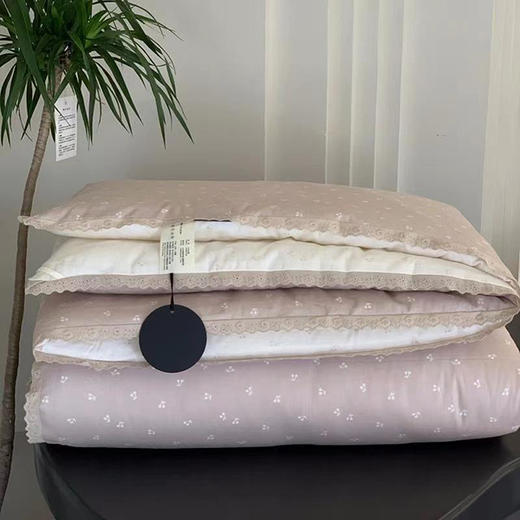 糯小米双人冬被2*2.3m 商品图0