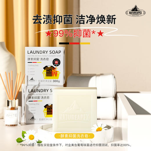 NATUREAPEX-冰川山脉 酵素抑菌洗衣皂 商品图1