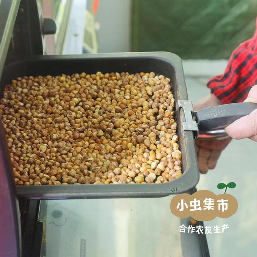 森林野生榛子仁 200g| 合作农友生产，源自大兴安岭原始森林，生产者：金鹏 ＆【公平贸易农人定价】 商品图12