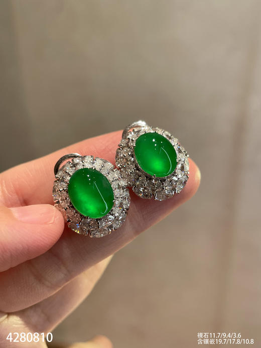 老坑玻璃种艳绿蛋面耳钉【4280810】具体价格微信咨询 商品图2