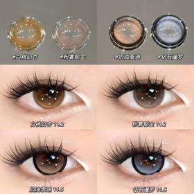 sondercon半年抛  钻石暹罗/奶油泰迪/白桃奶杏/粉雾郁金 14.2/14.5 非离子 蓝棕粉