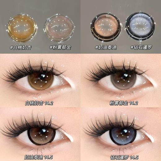 sondercon半年抛  钻石暹罗/奶油泰迪/白桃奶杏/粉雾郁金 14.2/14.5 非离子 蓝棕粉 商品图0