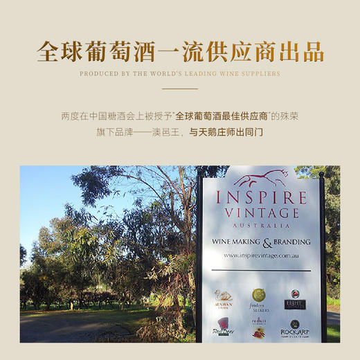 【满分酿酒师代表作】克斯顿·澳邑王西拉干红 首任澳大利亚驻华大使推荐 澳大利亚麦克拉伦谷 14.5%vol 商品图3