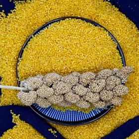 山西忻州   玉米兄弟有机种植小米