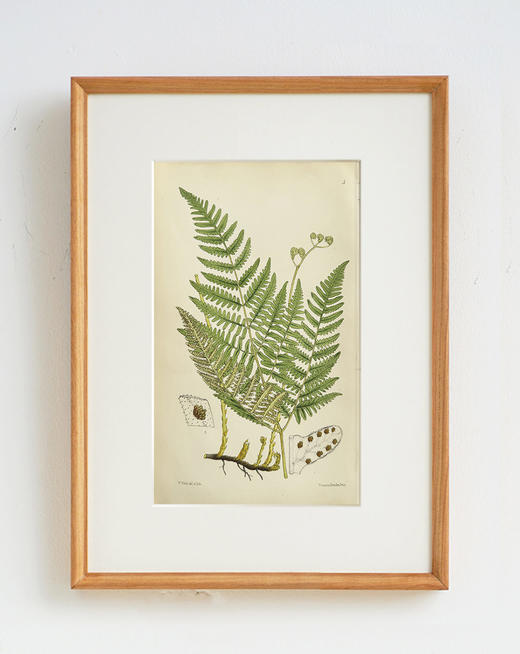 伽罗 JALO 欧洲原版铜版画（孤品合集）-下单后10天内发货 商品图4