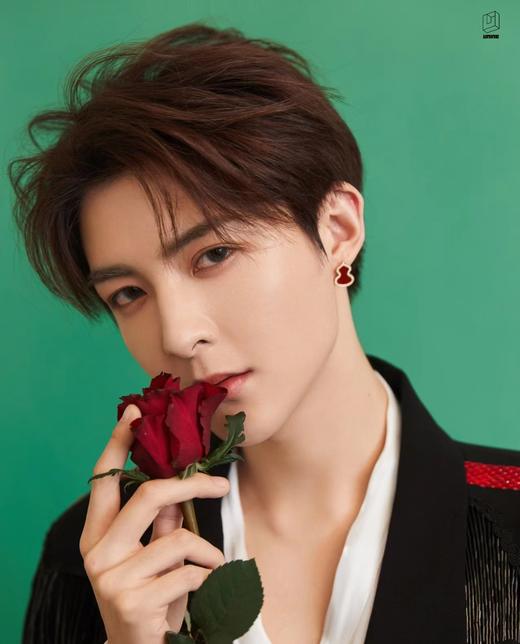 Qee红葫芦麒麟招财福禄项链 戒指 耳钉925镀18K金 商品图5