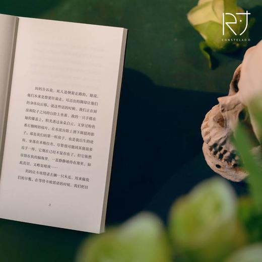 萨乌达德 2019年澳大利亚总理文学奖/2020年阿德莱德文学节奖入围作品 商品图5