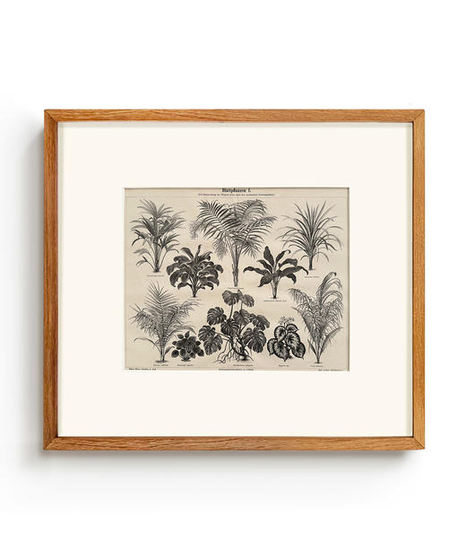 伽罗 JALO 欧洲原版铜版画（孤品合集）-下单后10天内发货 商品图2