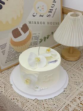 蝴蝶兰珍珠主题 简约款 