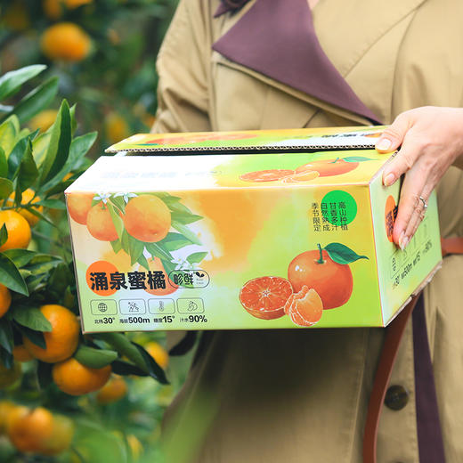 涌泉蜜桔 | 中果5斤家庭装 果香浓郁 肉质细腻 现摘现发 水果榨汁 商品图7