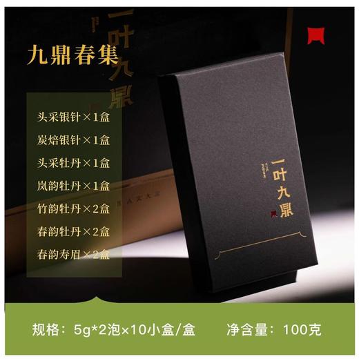 福鼎白茶 | 一叶九鼎 2024年白茶组合·九鼎春集100g 商品图1