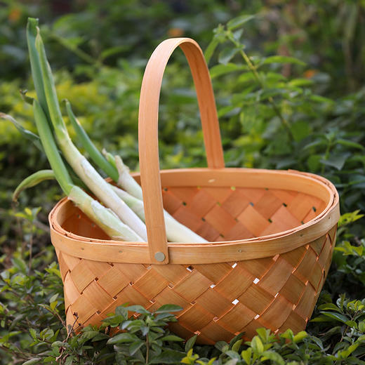 【蜜糖色】娜家椭圆形手工木编提篮 商品图4