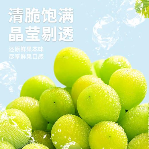 德和 阳光玫瑰葡萄罐头300g/罐 水果罐头 #润 商品图3