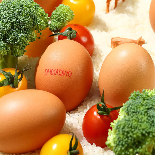 MM 山姆 都尔霍姆（DUEHOLM)有机鸡蛋 1kg（20枚） 商品图1